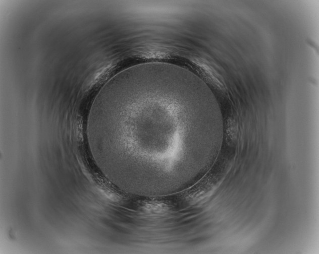 X0000097640547200802291407