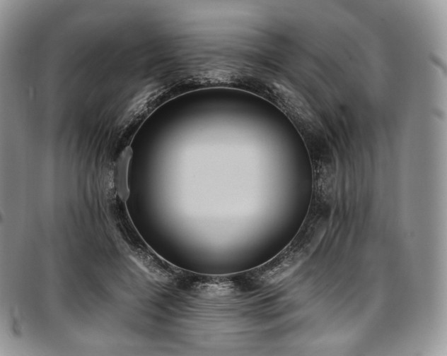 X0000097640548200802291407
