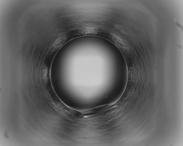 X0000097640550200802291407