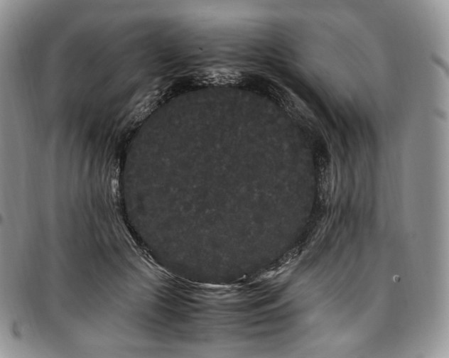 X0000097640553200802291407