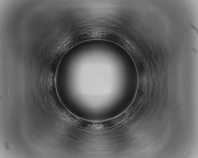 X0000097640554200802291407