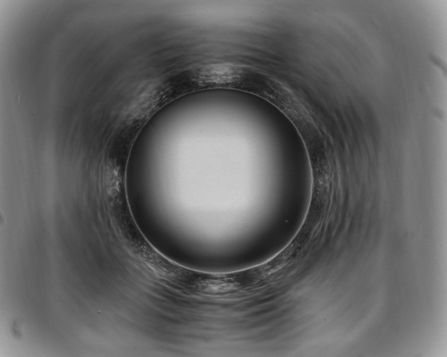X0000097640555200802291407