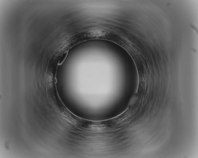 X0000097640556200802291407