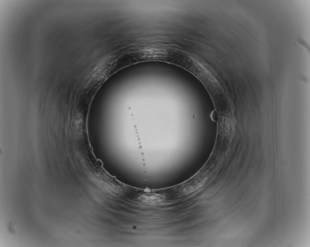 X0000097640557200802291407