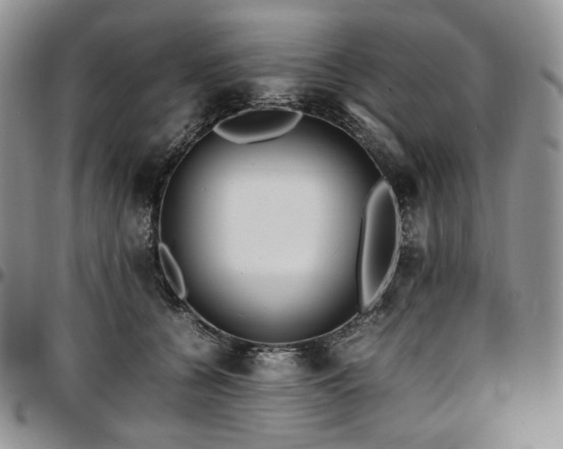 X0000097640560200802291407