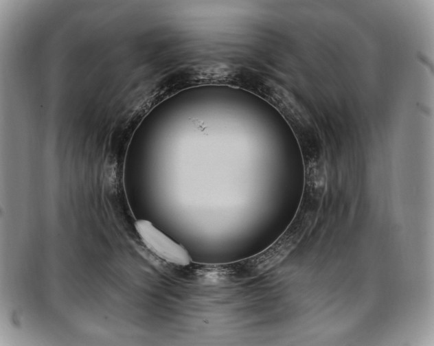 X0000097640564200802291407