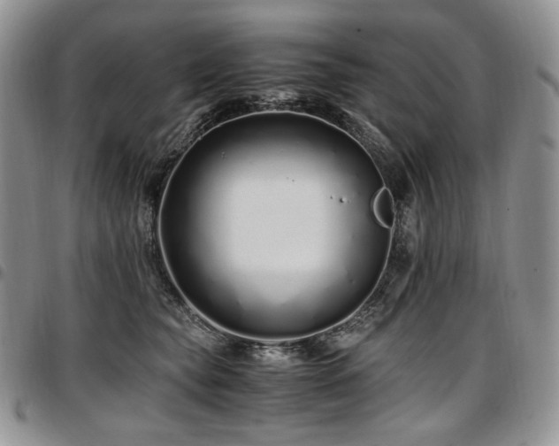 X0000097640565200802291407