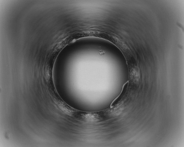 X0000097640566200802291407