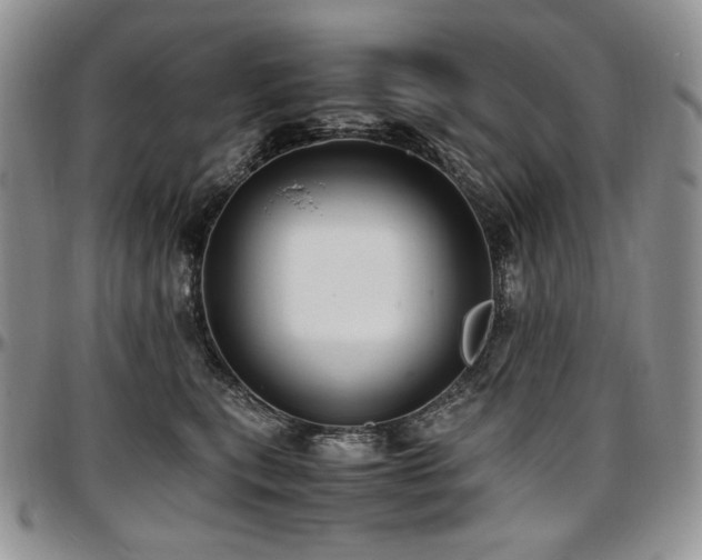 X0000097640567200802291407