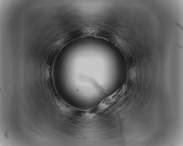X0000097640570200802291407