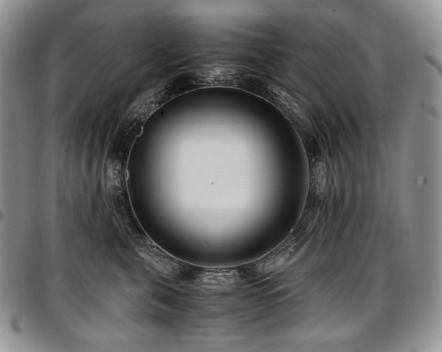 X0000097640571200802291407