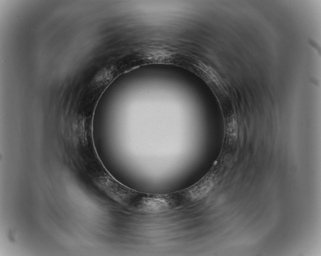 X0000097640572200802291408