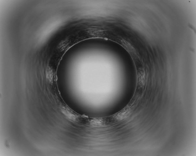 X0000097640574200802291408