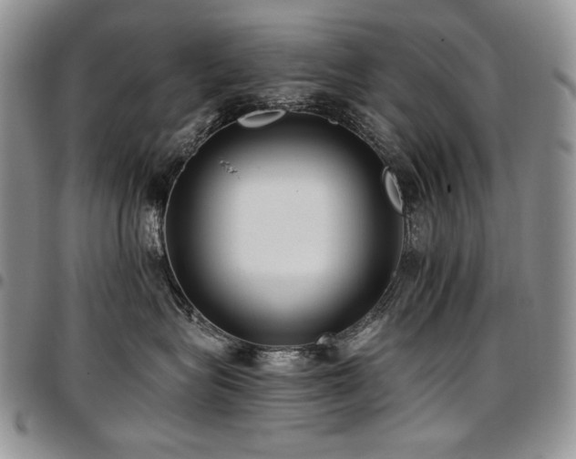 X0000097640575200802291408