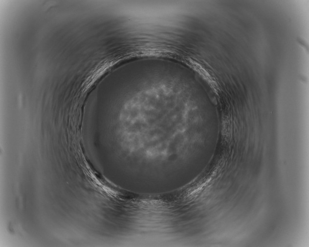 X0000097640577200802291407