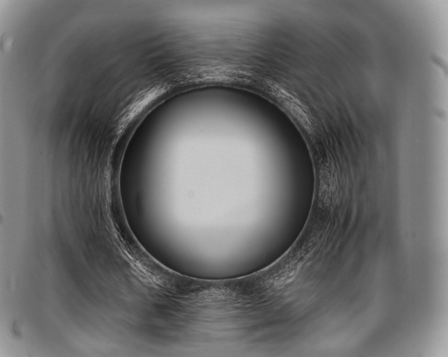 X0000097640578200802291407