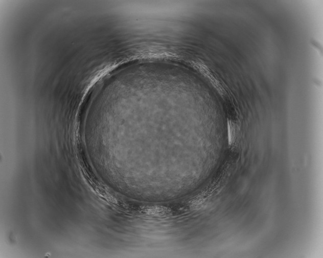 X0000097640579200802291407