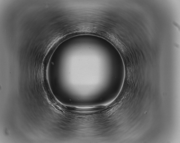 X0000097640580200802291407