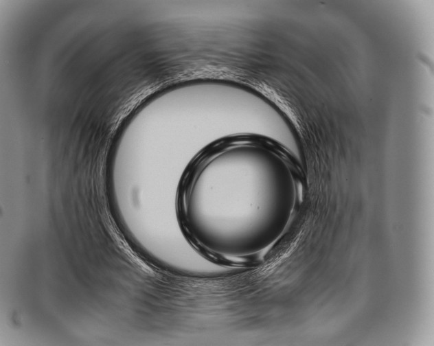 X0000097640581200802291407