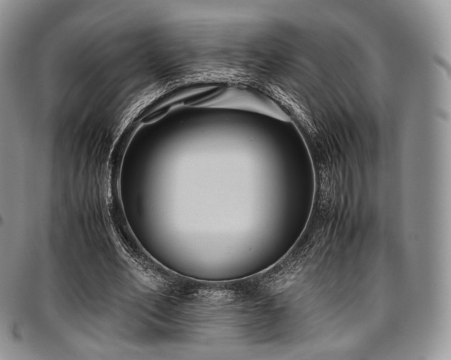 X0000097640582200802291407