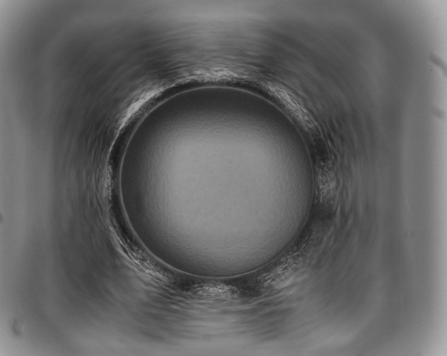 X0000097640583200802291407