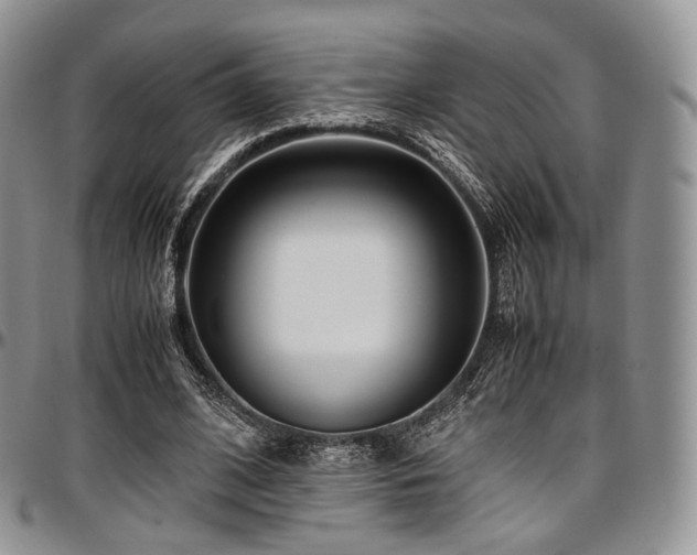 X0000097640584200802291407