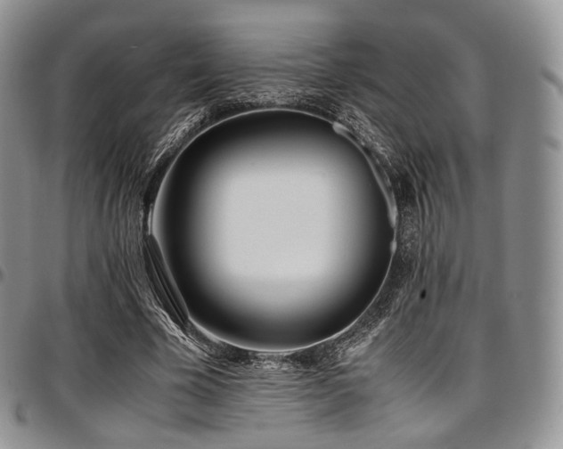 X0000097640585200802291407