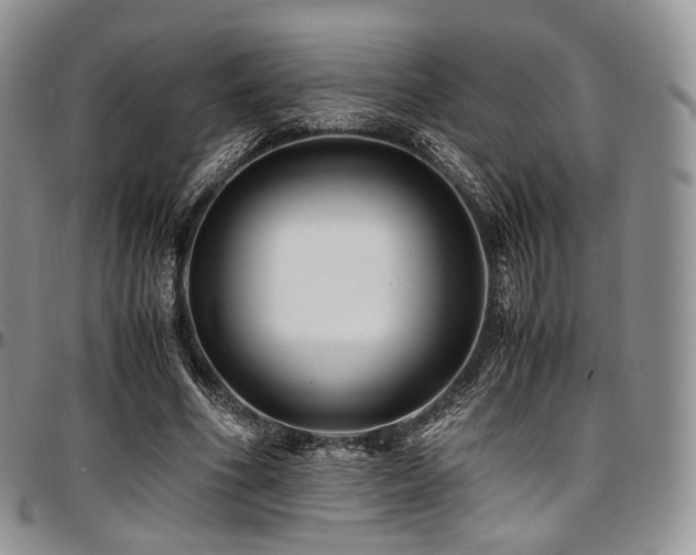 X0000097640586200802291407