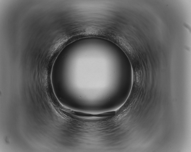 X0000097640588200802291407