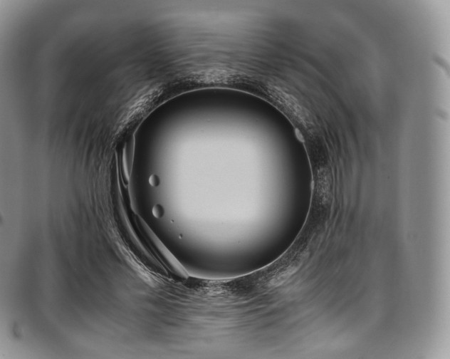 X0000097640589200802291407