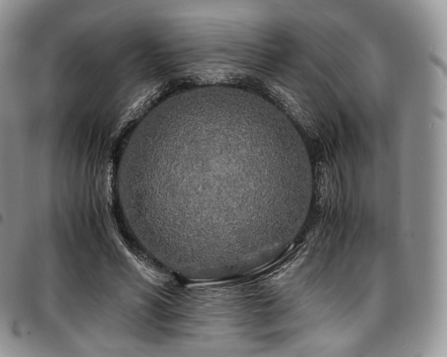 X0000097640590200802291407