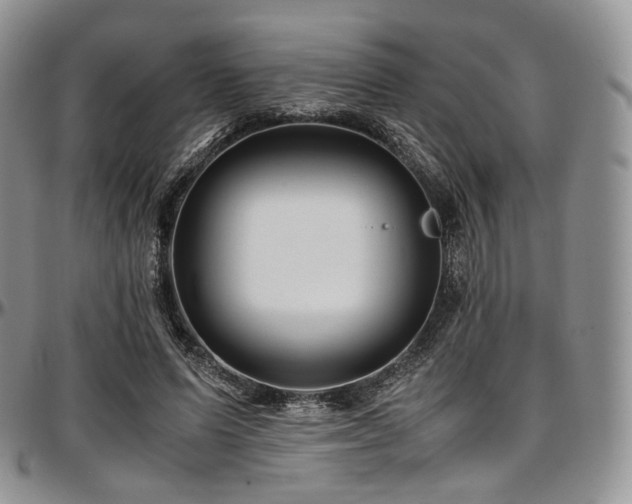 X0000097640591200802291407