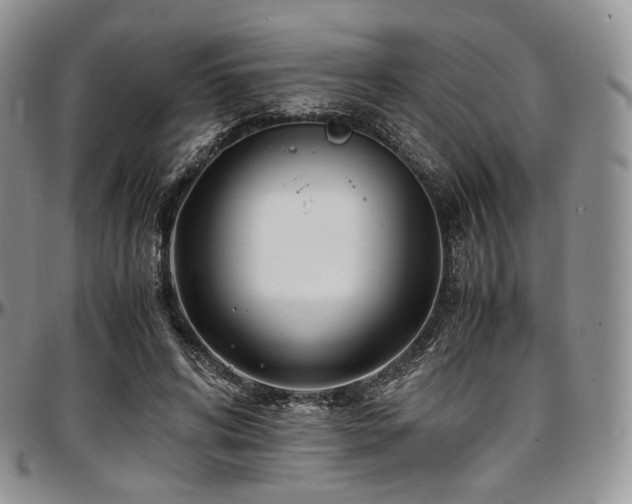 X0000097640592200802291407