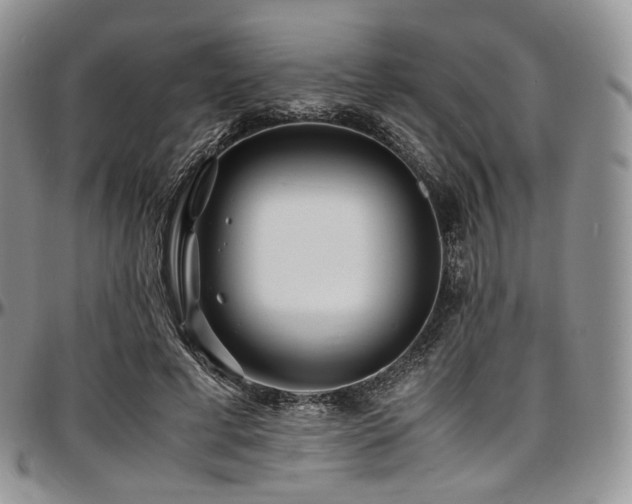 X0000097640593200802291407