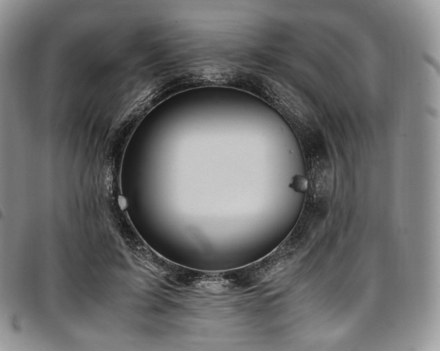X0000097640595200802291407