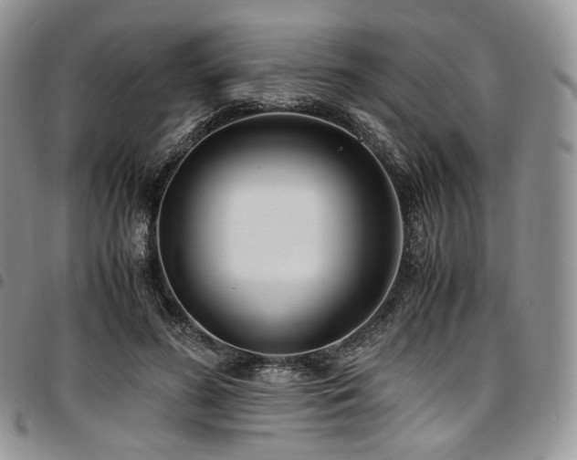 X0000097640596200802291407