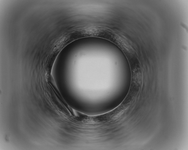 X0000097640597200802291407