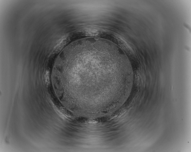 X0000097640598200802291407