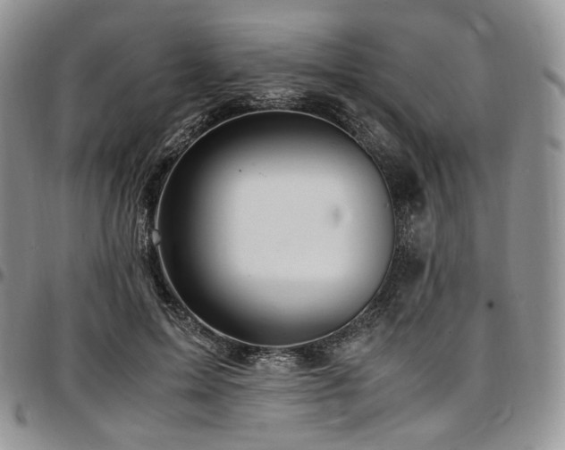 X0000097640599200802291407