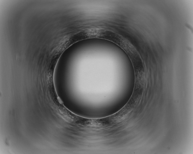 X0000097640601200802291406