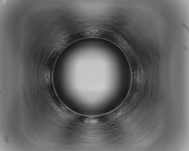 X0000097640602200802291406