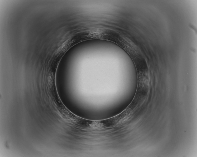 X0000097640603200802291406