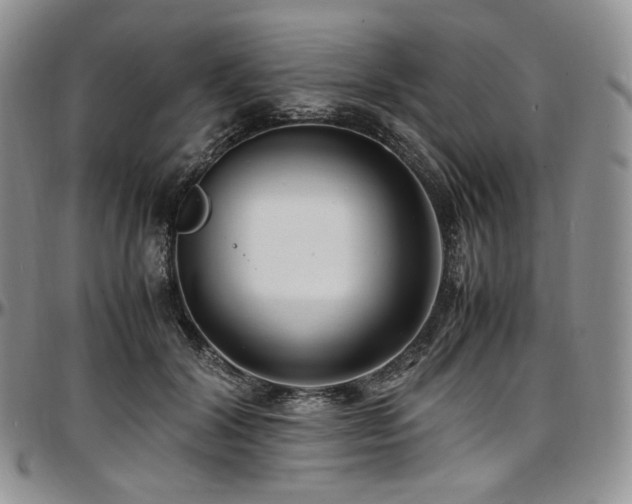 X0000097640604200802291406