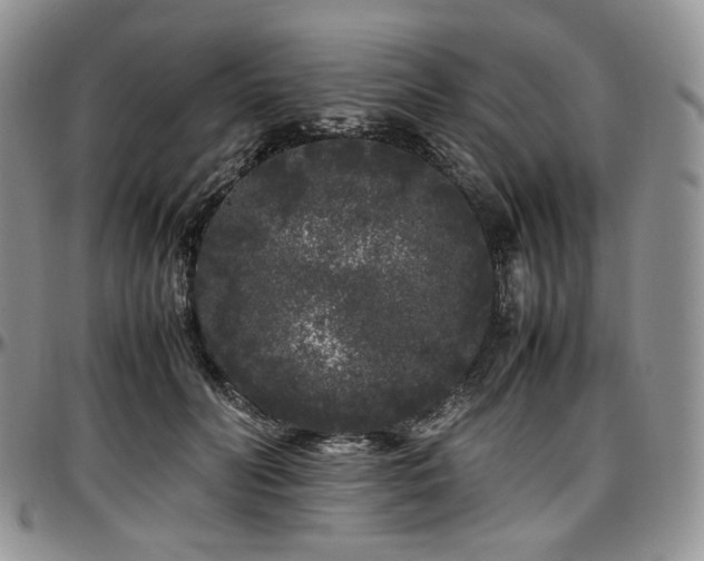 X0000097640606200802291406