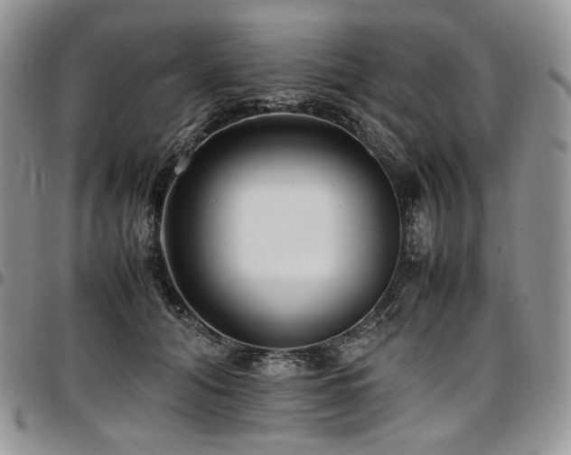 X0000097640608200802291406