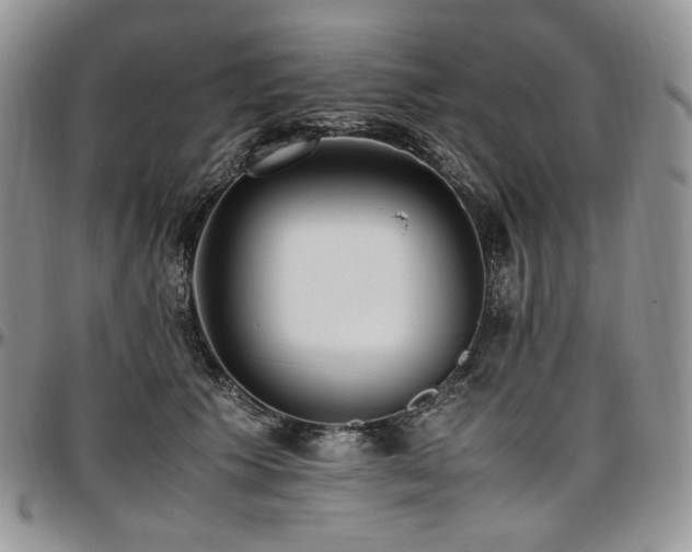 X0000097640609200802291406