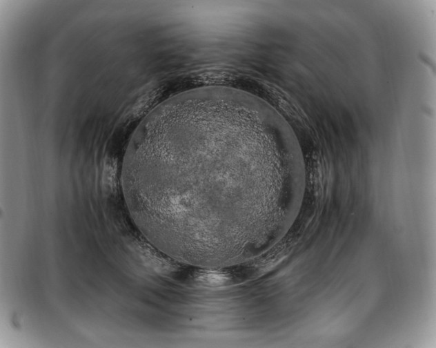 X0000097640610200802291406