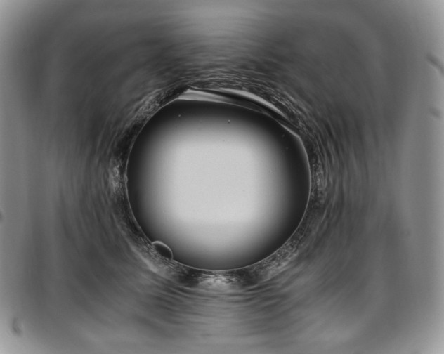 X0000097640611200802291406