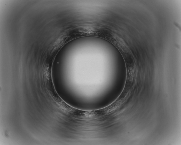X0000097640612200802291406