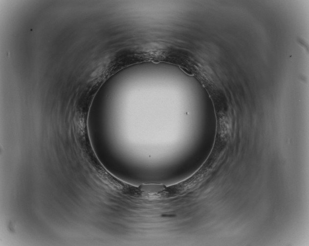 X0000097640613200802291406